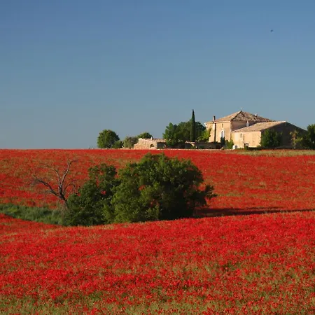 In Clos De La Tuilerie * Valensole