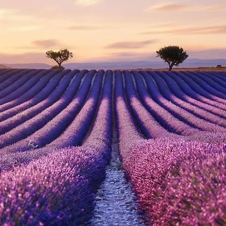 In Clos De La Tuilerie Valensole